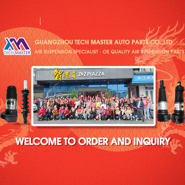 Cina Guangzhou Tech Master Auto Parts Co.Ltd 
