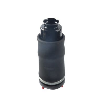 2513203113 Tas Suspensi Depan Air Ride Untuk Mercedes R Class W251