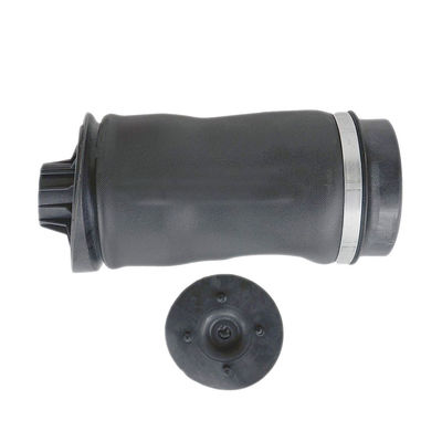 Suspensi udara belakang hitam pegas 2513200425 W251 R350 R500
