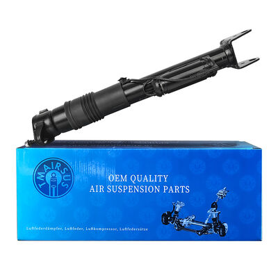 Sistem Pengelolaan Suspensi Udara dengan Penyedot Kejut Pneumatik Ben-Z W251/R300