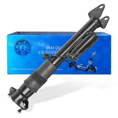 Sistem Pengelolaan Suspensi Udara dengan Penyedot Kejut Pneumatik Ben-Z W251/R300