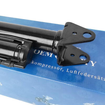 Sistem Pengelolaan Suspensi Udara dengan Penyedot Kejut Pneumatik Ben-Z W251/R300