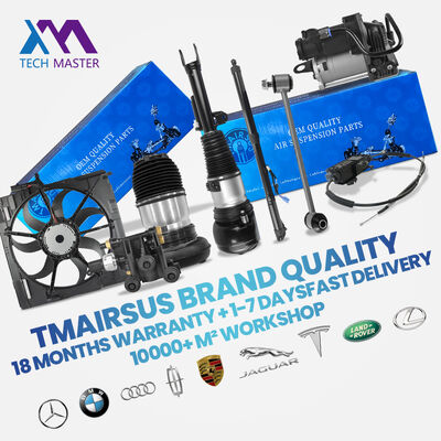 Suku Cadang Otomotif Peredam Kejut Suspensi Udara Air Strut untuk BenZ R171 1713200130 1713260100