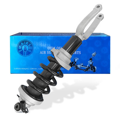 Peredam Suspensi Udara Tech Master Baru Audi R8 Penyangga Belakang 4S0412019/4S0412020