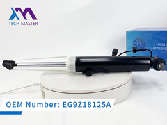 Tech Master Lincoln MKT Belakang kiri Shock Absorber dengan ADS DE9Z18125J, DE9Z18125B, DE9Z18125G