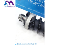 Teknisi Master TMAIRSUS Shock Absorber untuk Audi R8
