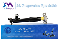 Tech Master Belakang Kiri Shock Absorber Strut Untuk Lincoln MKX F2GZ18125Z