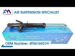 Tech Master TMAIRSUS Belakang kiri Strut Shock Absorber untuk Audi A6L/C6 4F0616031H
