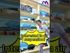 Tech Master = Sumber Pabrik Shock Suspensi Udara Profesional Anda