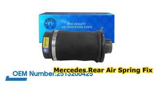 Pegas Udara Belakang Mercedes-Benz W251/R350 R500